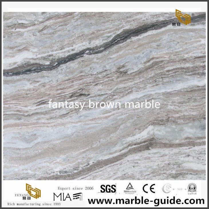 Polished Fantasy Brown Marble Slab Supply